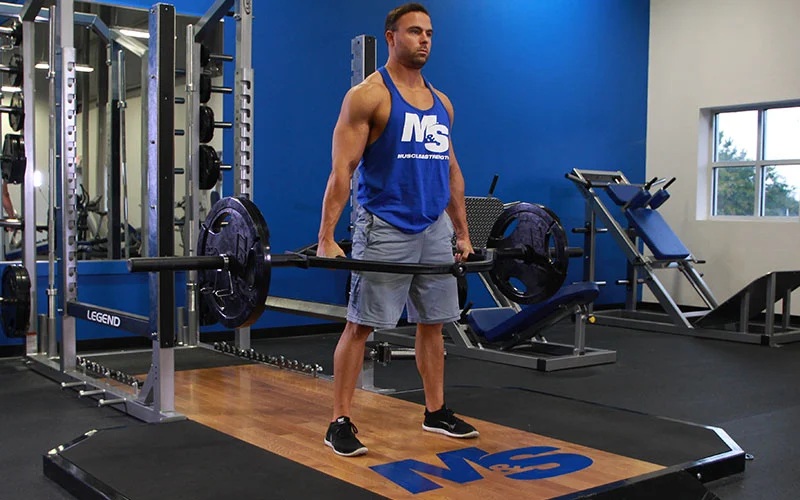 ددلیفت هالتر ترپ